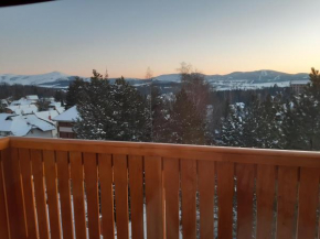 Apartman TAMARIS - parking&spectacular mountain view